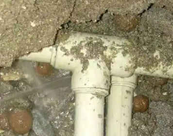 文成测漏水多少钱