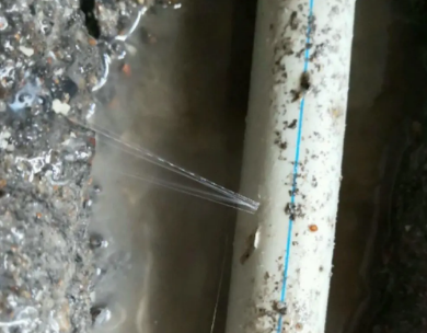 文成测漏水哪家好