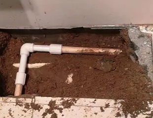 文成测漏水哪家好