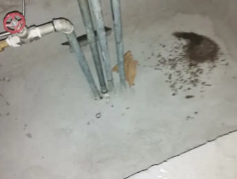 文成卫生间测漏水价格明细