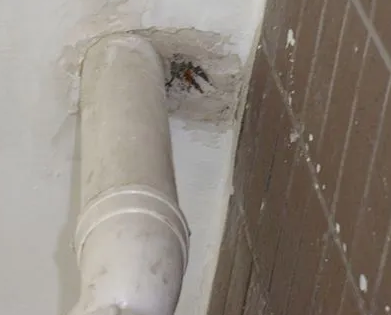 文成漏水检测哪家好